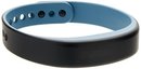 151509_garmin-vivosmart-blue-large.jpg