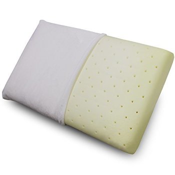 151519_classic-brands-conforma-memory-foam-pillow-queen.jpg