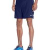 152619_asics-men-s-performance-run-everyday-woven-shorts-7-inch.jpg