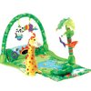 15316_fisher-price-rainforest-1-2-3-musical-gym.jpg