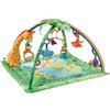 1556_fisher-price-rainforest-melodies-and-lights-deluxe-gym.jpg