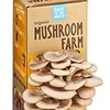 155778_back-to-the-roots-organic-mushroom-farm.jpg