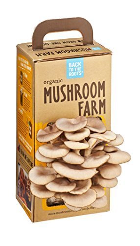 155778_back-to-the-roots-organic-mushroom-farm.jpg