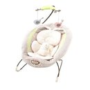 1558_fisher-price-my-little-snugabunny-bouncer-seat.jpg