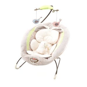 1558_fisher-price-my-little-snugabunny-bouncer-seat.jpg