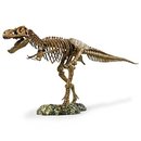 156428_elenco-science-tech-t-rex-skeleton-36-scale-replica-model.jpg