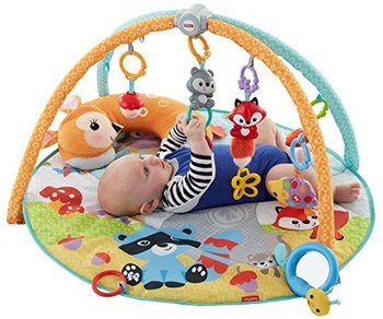 156769_fisher-price-moonlight-meadow-deluxe-play-gym.jpg