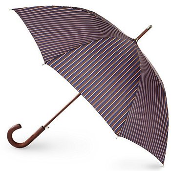 156839_totes-blue-line-auto-wooden-stick-umbrella-mens-stripe-one-size.jpg