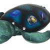 15724_cloud-b-twilight-constellation-night-light-sea-turtle.jpg