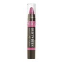 157722_burt-s-bees-lip-crayon-hawaiian-smolder-0-11-ounce.jpg