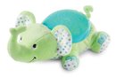 159809_summer-infant-slumber-buddies-soother-green-elephant.jpg