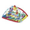 159856_baby-einstein-caterpillar-and-friends-play-gym.jpg