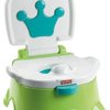 161895_fisher-price-royal-stepstool-potty-green.jpg