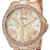 163729_fossil-women-s-am4616-cecile-three-hand-stainless-steel-watch-rose-with-horn-acetate.jpg