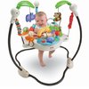 163945_fisher-price-luv-u-zoo-jumperoo.jpg