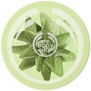 164139_the-body-shop-body-butter-aloe-6-75-ounces.jpg