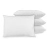 164498_biopedic-4-pack-bed-pillows-with-built-in-ultra-fresh-anti-odor-technology-standard-size-white.jpg