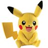 164568_pokemon-small-plush-pikachu.jpg