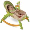 164857_fisher-price-newborn-to-toddler-portable-rocker.jpg