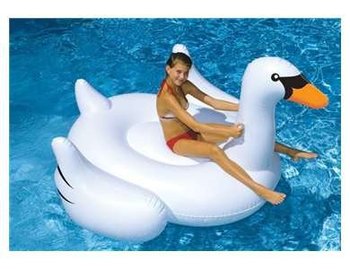 165388_international-leisure-giant-swan-75-inches.jpg