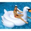 165388_international-leisure-giant-swan-75-inches.jpg