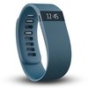 165399_fitbit-charge-wireless-activity-wristband-slate-large.jpg