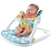 165482_fisher-price-sit-me-up-floor-seat-citrus-frog.jpg