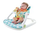 165482_fisher-price-sit-me-up-floor-seat-citrus-frog.jpg