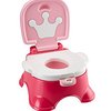 165830_fisher-price-stepstool-potty-pink-princess.jpg