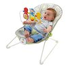 166075_fisher-price-baby-s-bouncer-geo-meadow.jpg