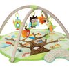 16886_skip-hop-treetop-friends-activity-gym.jpg