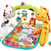 169451_fisher-price-newborn-to-toddler-play-gym.jpg