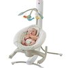 169597_fisher-price-4-motion-cradle-n-swing-with-smart-connect.jpg
