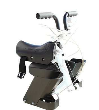 18148_co-rider-child-bike-seat-black.jpg