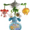 18578_fisher-price-discover-n-grow-twinkling-lights-projector-mobile.jpg