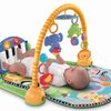 18835_fisher-price-discover-n-grow-kick-and-play-piano-gym.jpg