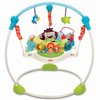 19067_fisher-price-precious-planet-blue-sky-jumperoo.jpg