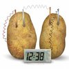 19539_efashion-potato-clock-science-kit-green-vegetable-power.jpg