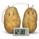 19539_efashion-potato-clock-science-kit-green-vegetable-power.jpg
