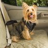 2014_solvit-car-safety-harnesses-for-dogs.jpg