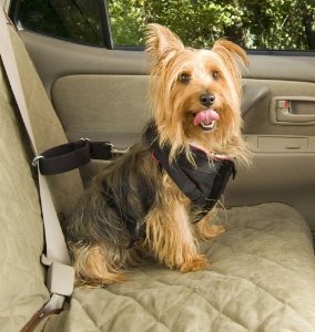 2014_solvit-car-safety-harnesses-for-dogs.jpg