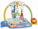 20312_fisher-price-discover-n-grow-tracking-lights-musical-gym.jpg