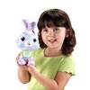 20817_fisher-price-doodle-bear-pets-bunny.jpg