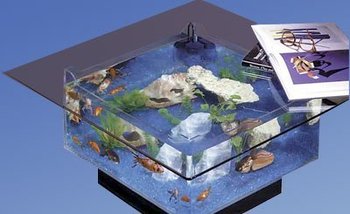 20908_midwest-tropical-675-square-aquarium-coffee-table.jpg