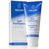 21384_weleda-salt-toothpaste-2-5-fluid-ounce-pack-of-2.jpg