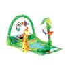 2344_fisher-price-rainforest-1-2-3-musical-gym.jpg