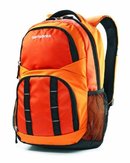 2391_samsonite-luggage-stratford-backpack.jpg