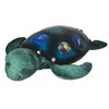 2799_cloud-b-twilight-constellation-night-light-sea-turtle.jpg