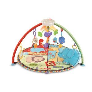 2959_fisher-price-luv-u-zoo-deluxe-musical-mobile-gym.jpg