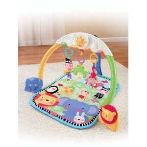 3021_fisher-price-discover-n-grow-tracking-lights-musical-gym.jpg